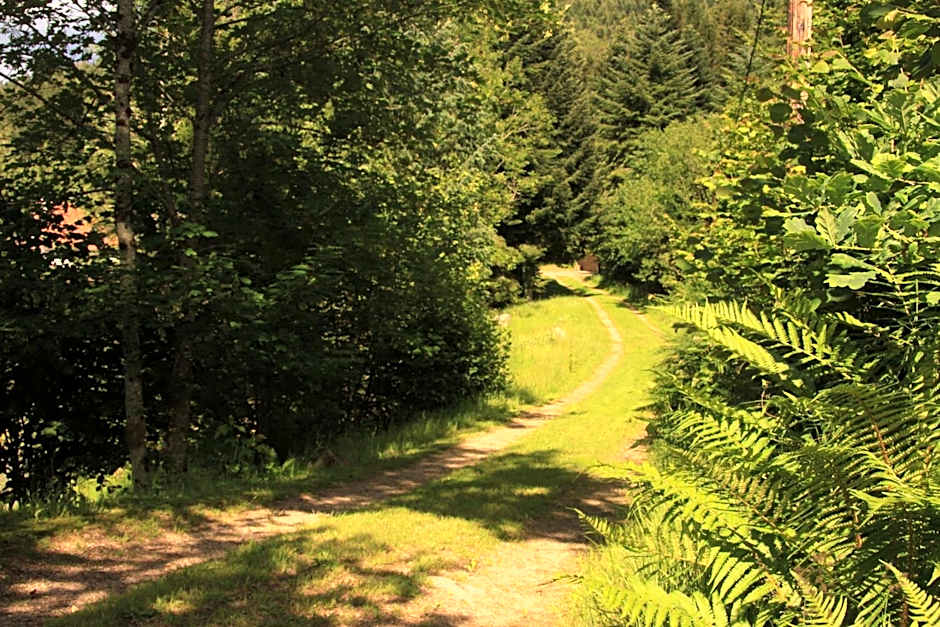 Notre Dame des Monts