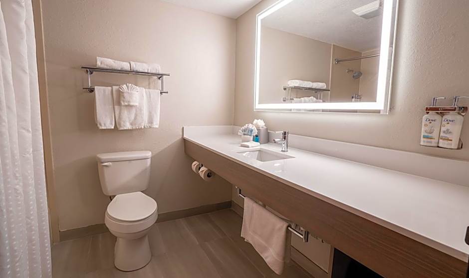Holiday Inn Express Hotel & Suites Orange City By IHG