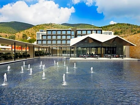 Hotel Marasa Sarovar Premiere Tirupati