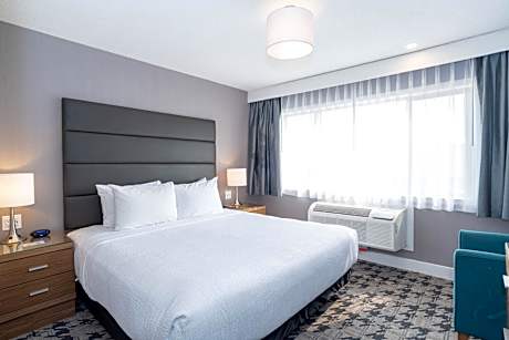 Standard Suite, 1 King Bed, Sofa Bed, Kitchenette