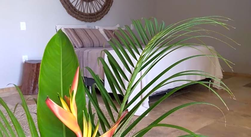 Dolce Vita Guest House