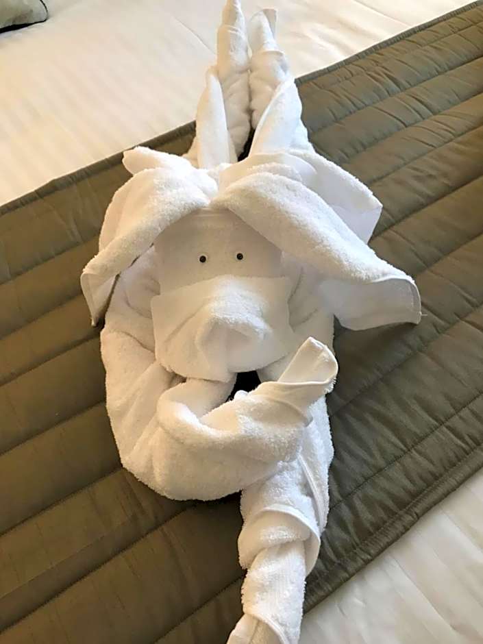 Queens arms country inn