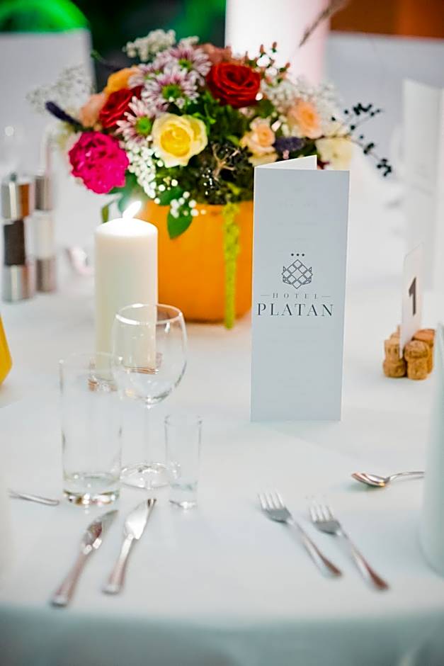 Hotel Platan