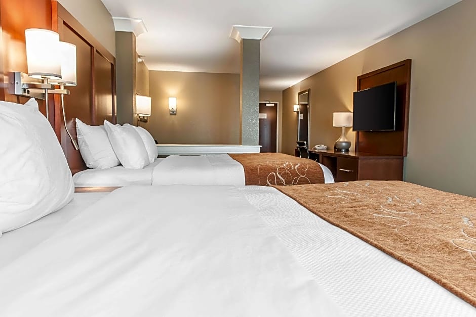 Comfort Suites Rensselaer near Fair Oaks