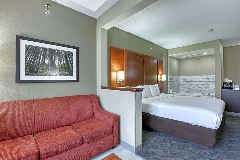 Comfort Suites Madison West - Middleton