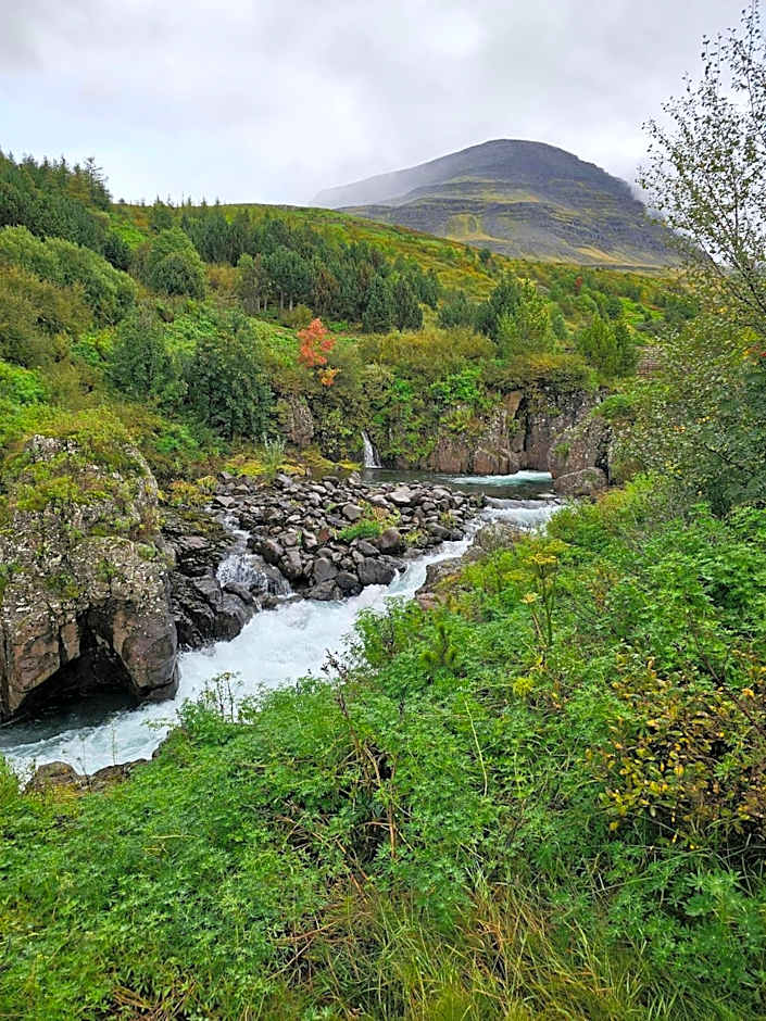 Hótel Austur