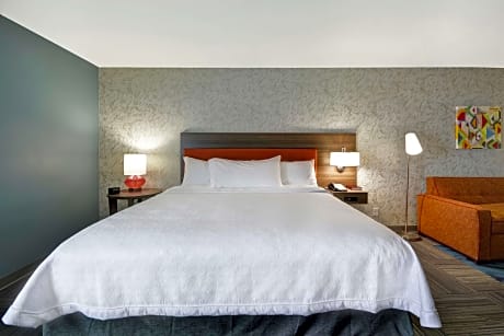 1 King Bed Studio Suite Nonsmoking