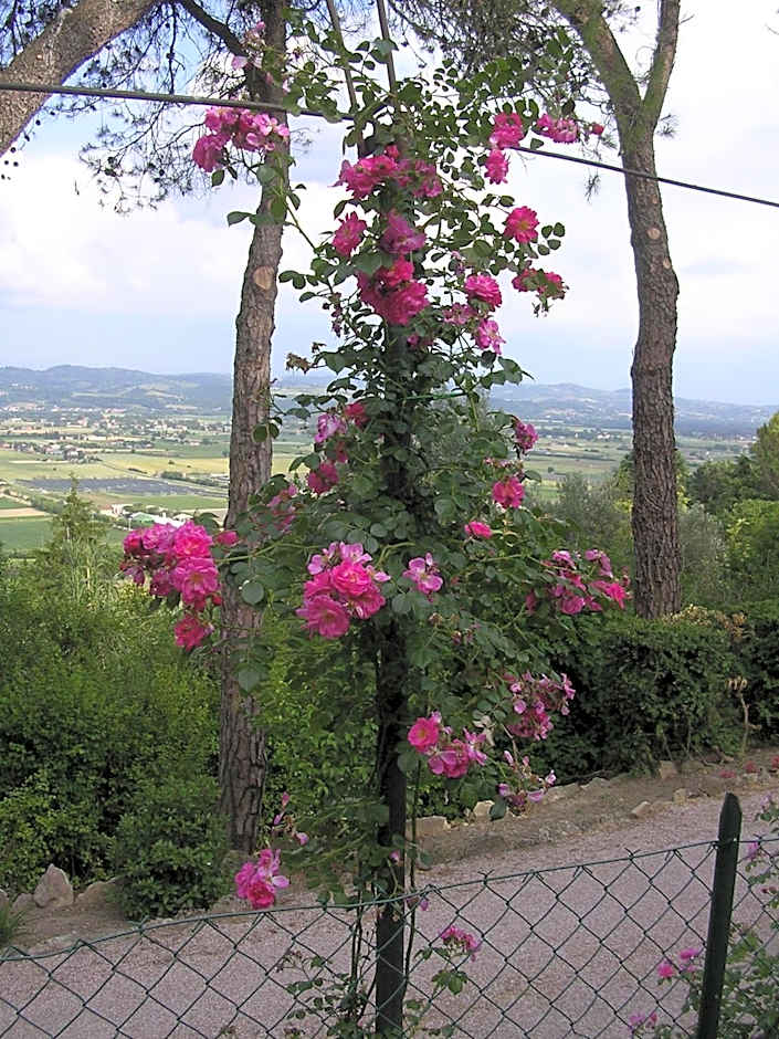 Casa Fiorita