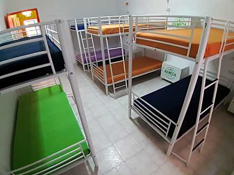 Bed in 8-Bed Dormitory Room