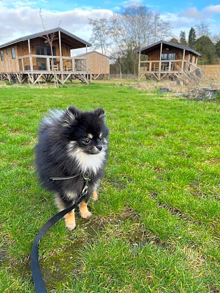 Ecau Lodge - Logement insolite à 30km de Pairi Daiza