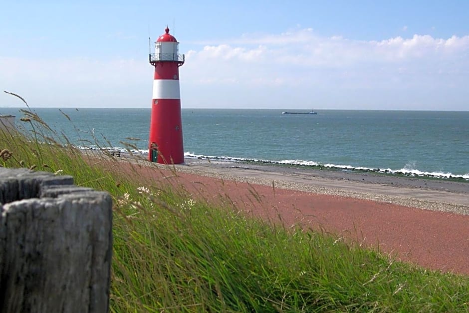 studio B&B Zeeuws licht