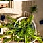 Casa Leah - Full Ocean View Apartment- Zicatela - AC in Bedroom - Steps To Beach - Steps to la Punta