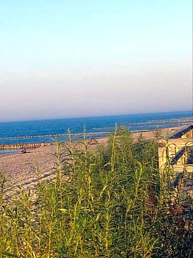 Domki letniskowe Rafa