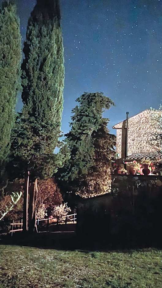Rocca degli Olivi