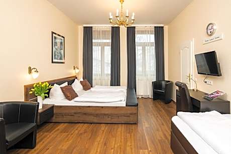 Comfort Double Room with Air Condition and roof slope