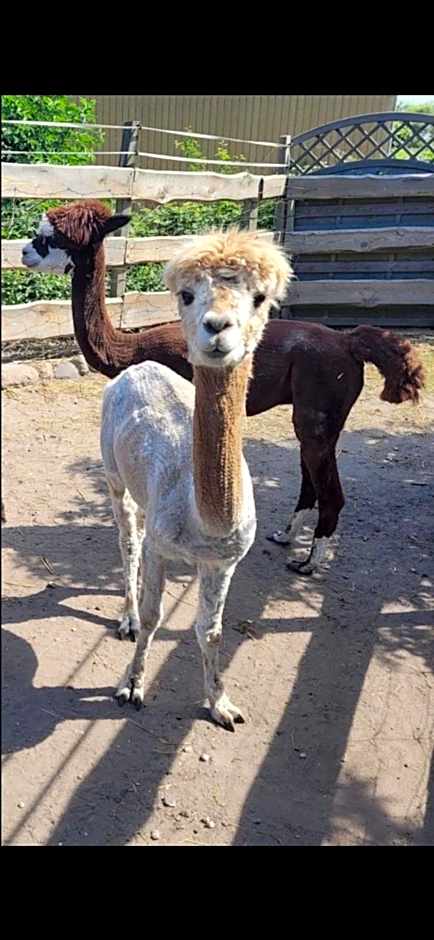 Landhaus Pfahlershof