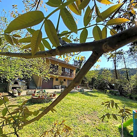 Agriturismo Le cicale e la formica