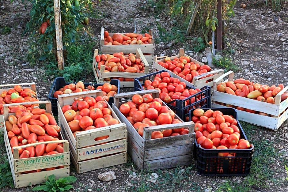 Fattoria La Tana della Volpe