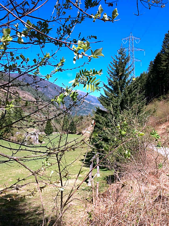 Hotel Ristorante Milano