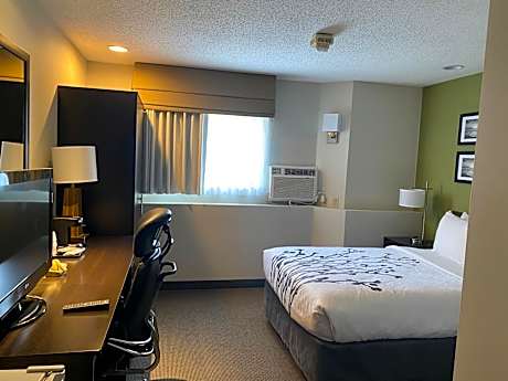 Double Room - Accessible/Non-Smoking