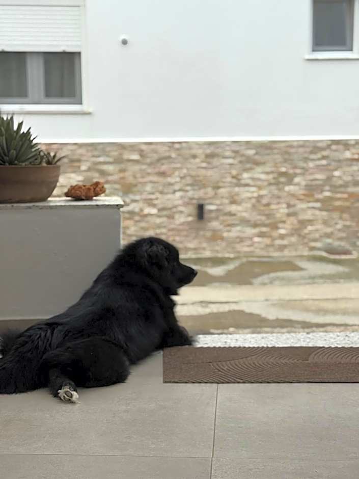 Mellow Paros