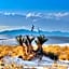 The Classic Desert Aire Hotel