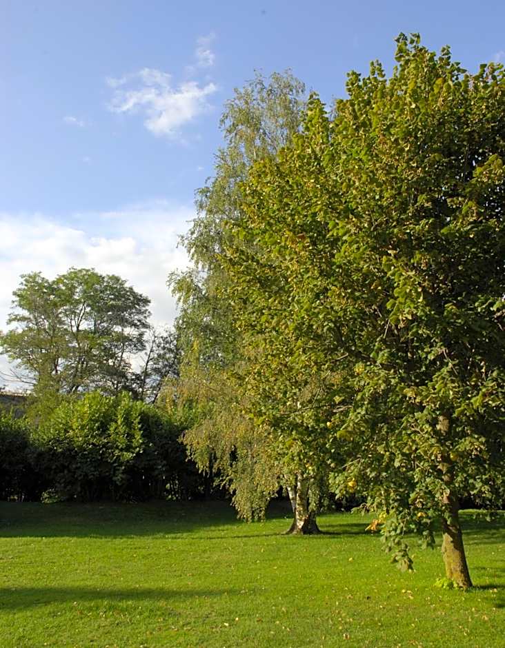 Hotel Celisol Cerdagne