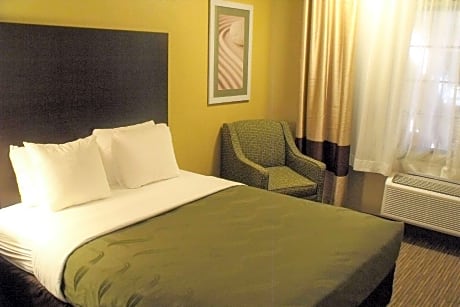 1 King Bed Nonsmoking
