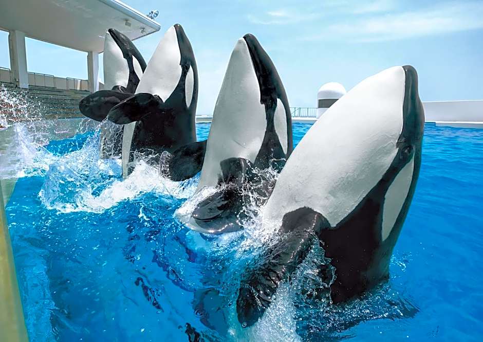 KAMENOI HOTEL Kamogawa