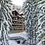Ana Hotels Bradul Poiana Brasov
