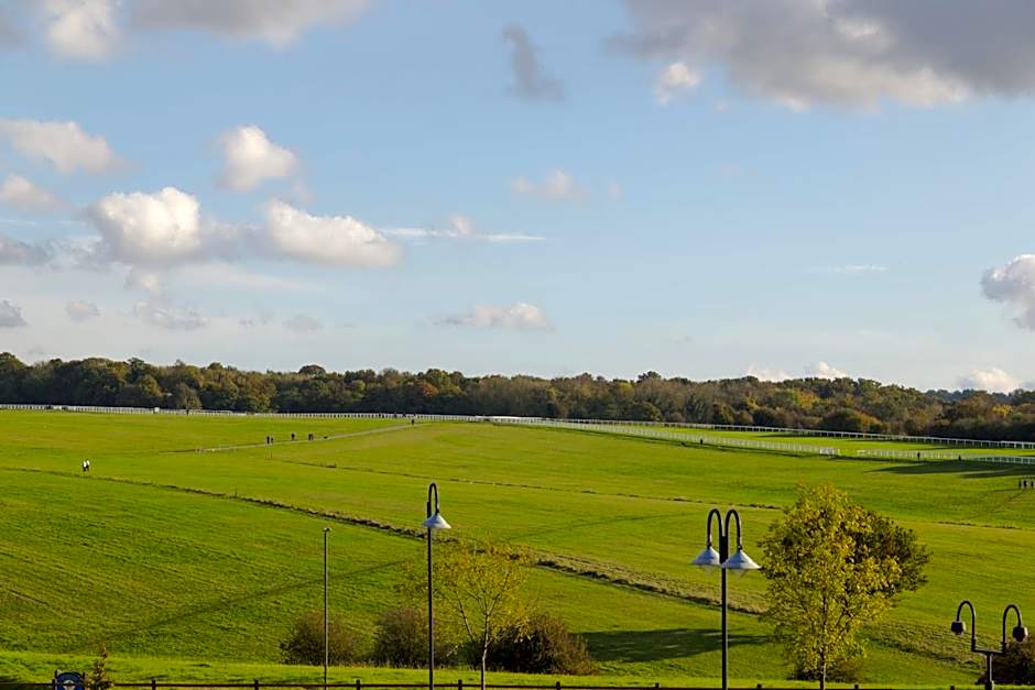 Holiday Inn Express London - Epsom Downs By IHG