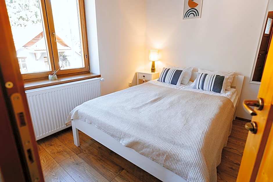 Pensiunea Violin Panzió