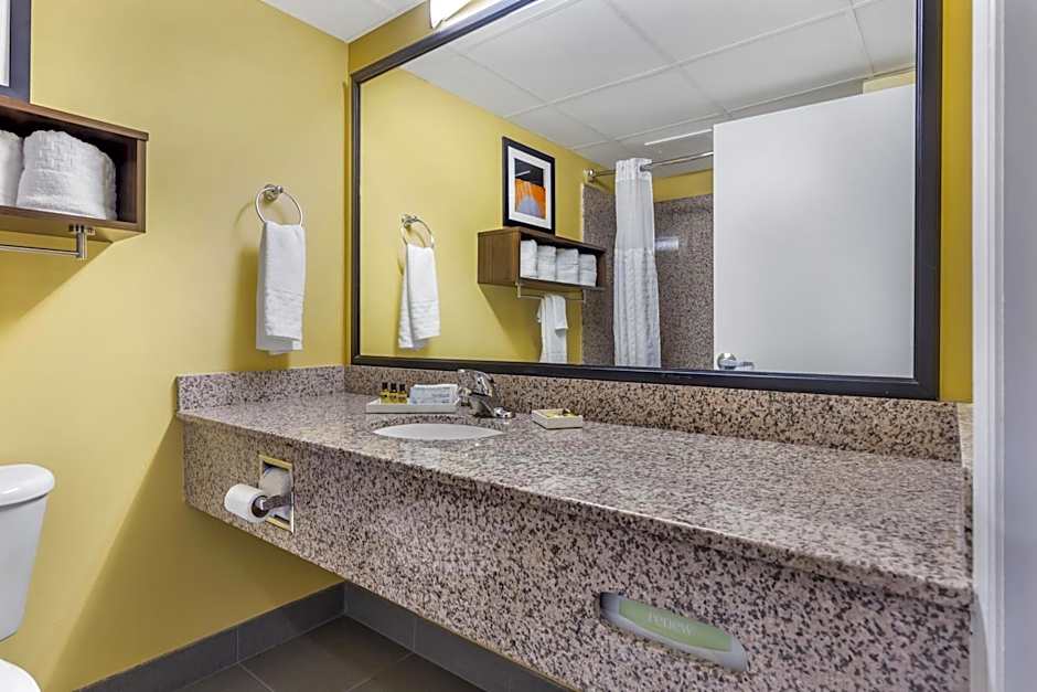 Best Western Plus Suites-Greenville