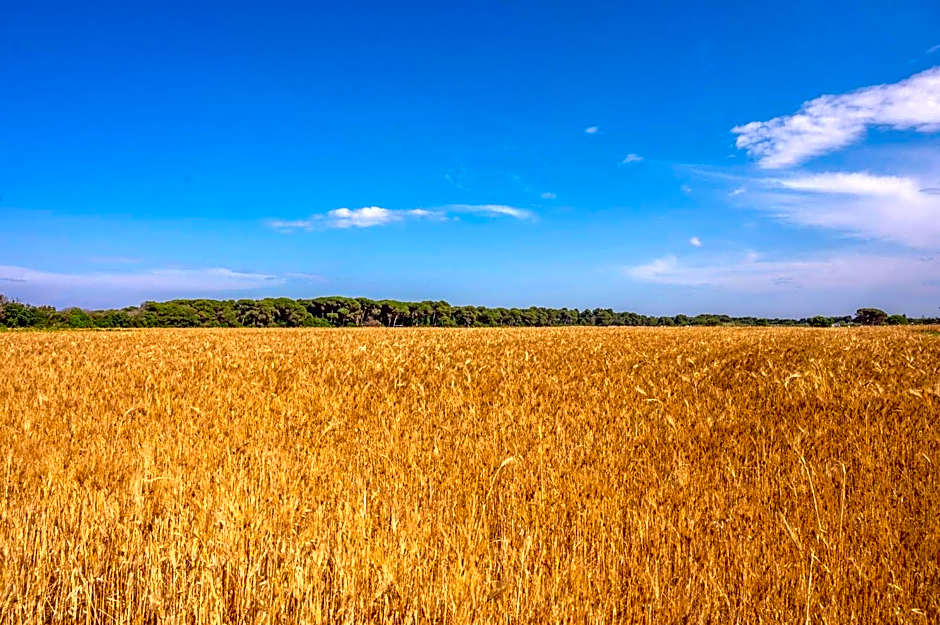 Masseria Mongio dell'Elefante