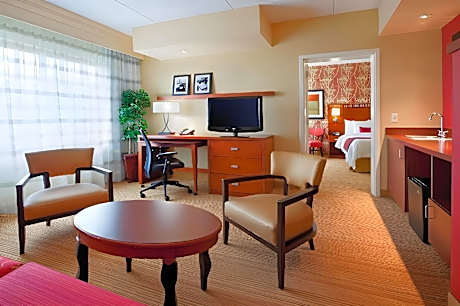 Suite, 1 King, Sofa bed