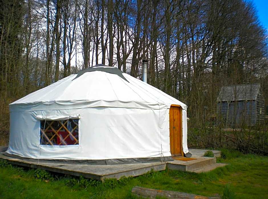 South Downs Eco Lodge & Camping