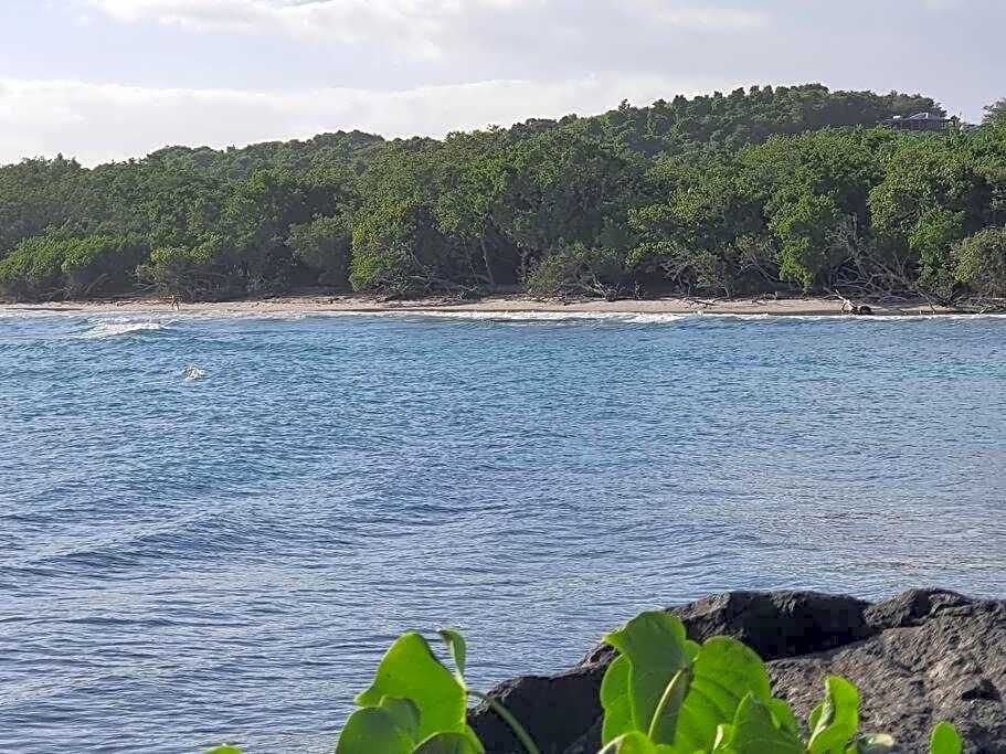 Vagues & Détentes-Charmant app vue mer 100m