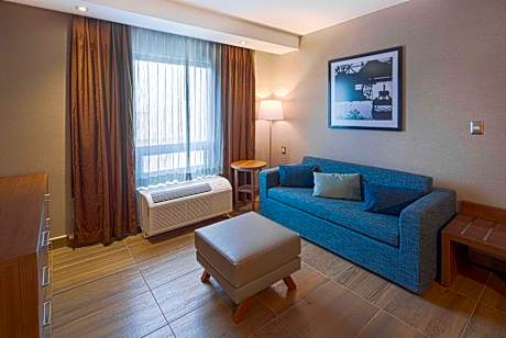 One-Bedroom King Suite - Non-Smoking