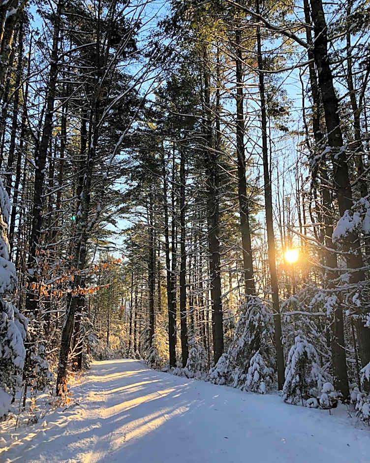 Robert Frost Mountain Cabins