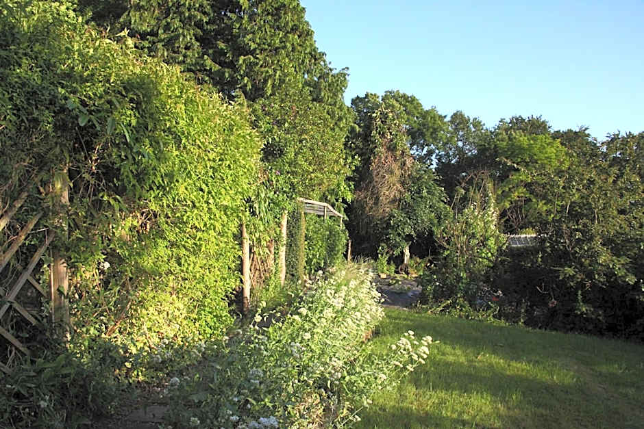 Spacious home in Bath, nature and city!