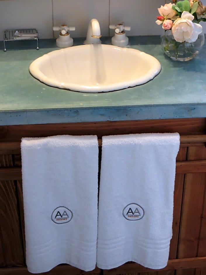 Aldea Andina Hotel&Spa