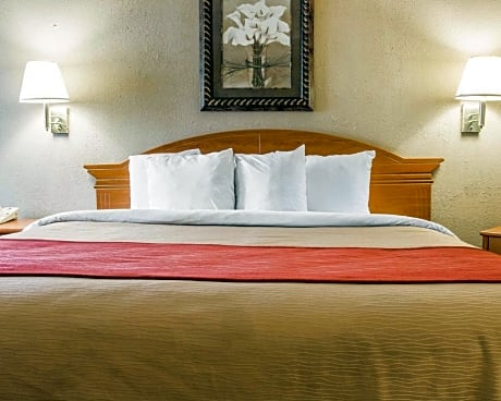 1 King Bed, Nonsmoking