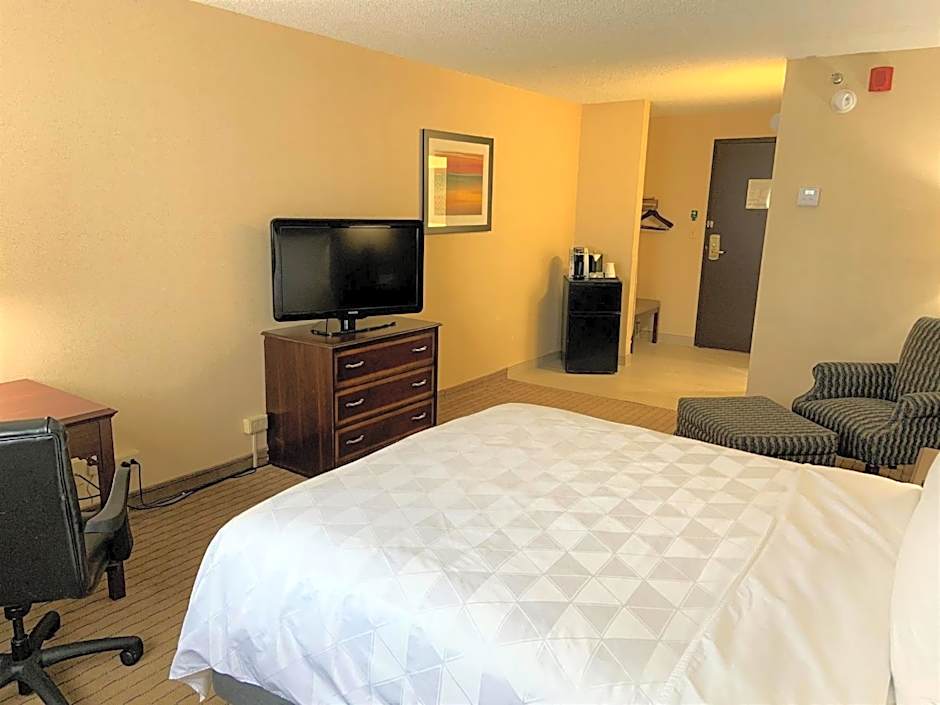 Holiday Inn & Suites Chicago-Carol Stream (Wheaton) By IHG