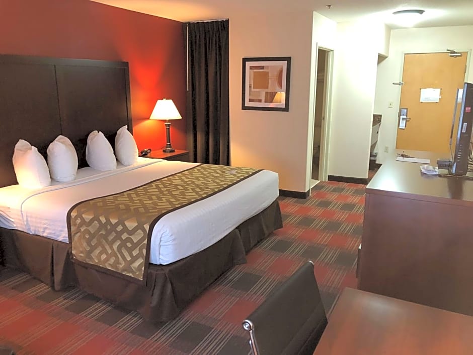 Best Western Dallas Inn And Suites