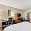 Comfort Inn & Suites Panama City - St Andrew