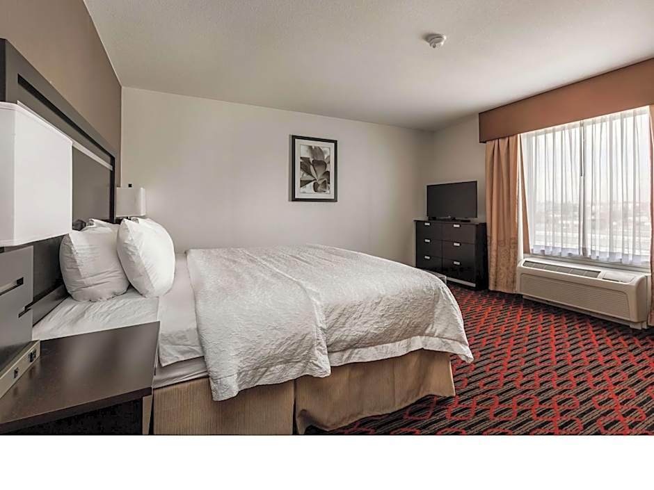 Hampton Inn By Hilton & Suites Lethbridge Ab Cn