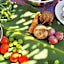 Zoi Retreat Hotel Zanzibar