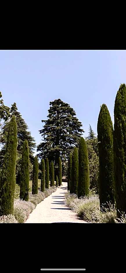 Schloss Freudenstein