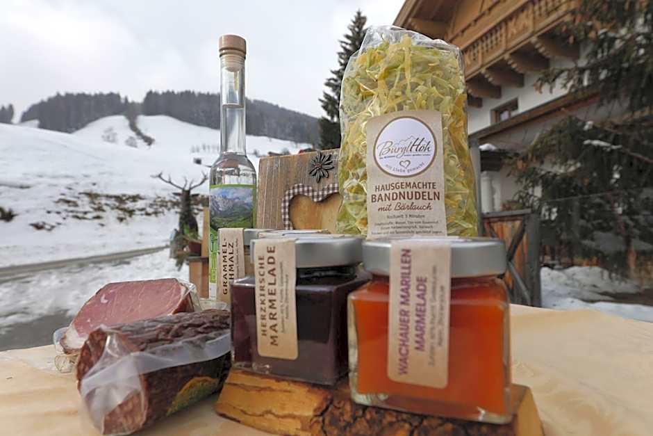 Hotel und Alpen Apartments - Bürglhöh