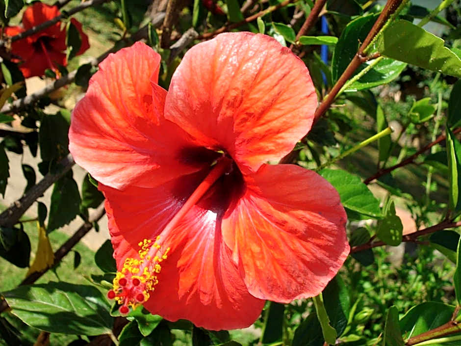 Verdemare Sardegna Uno